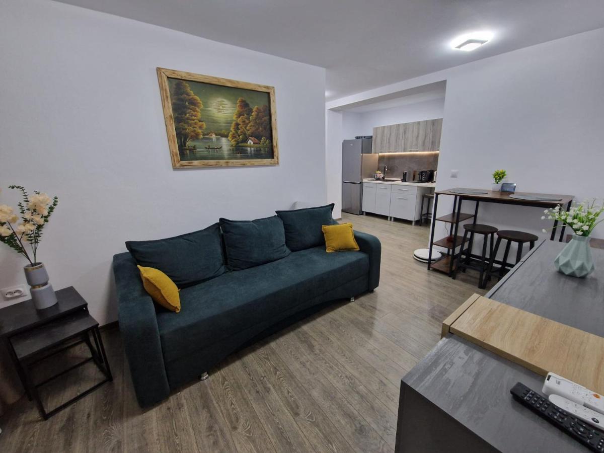 Home Studio Sighişoara Buitenkant foto